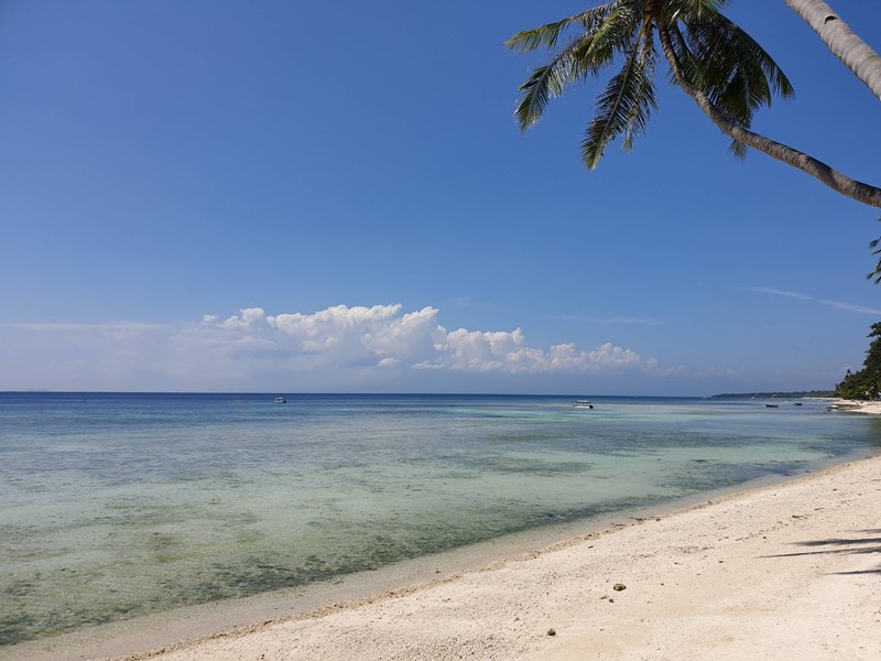 菲律賓 錫基霍爾島(拍攝者  周怡欣)